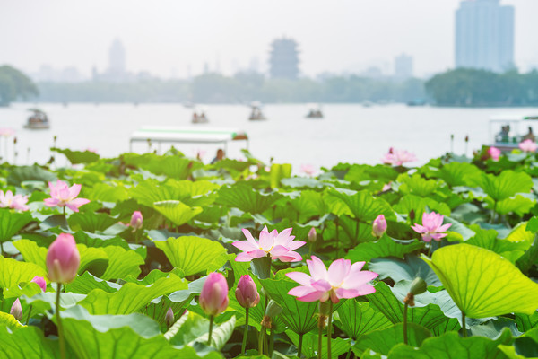 ▲中國山東。（圖／七逗旅遊網提供）