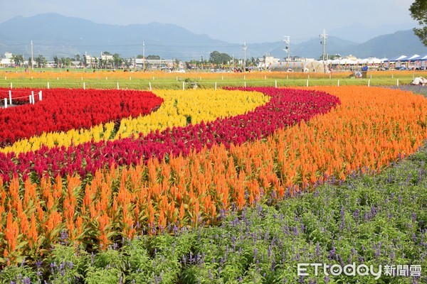 ▲新社花海。（圖／農委會提供）