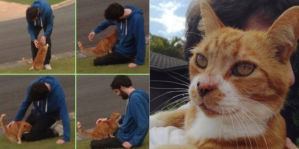 命中註定！收容所橘貓只對男孩熱情　跳上大腿呼嚕嚕（圖／翻攝自Kristine Simmonds／lovemeow／