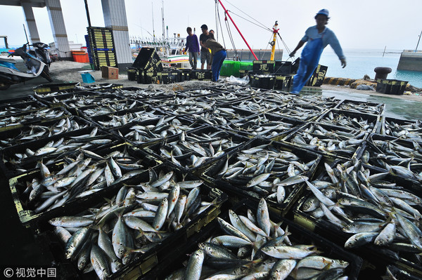 ▲▼澎湖馬公，魚市場，漁獲，遠洋漁業，漁業。（圖／視覺中國CFP）