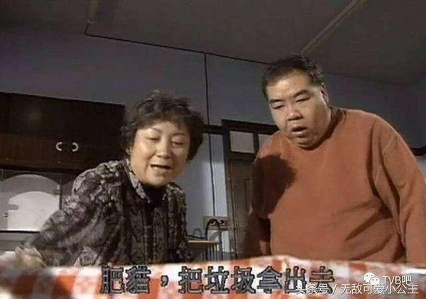 《肥貓正傳》是鮑起靜演藝生涯的轉捩點，不僅劇集收視驚人，奠定她「慈母」形象，也讓她從此知道自己演技的優點在哪。（翻攝自微信圖片）