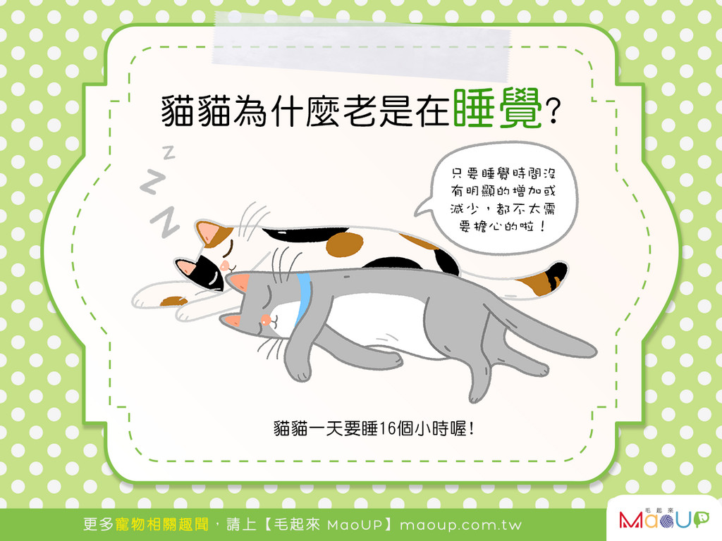 有這麼累嗎主子？ 揭貓咪「愛睡覺」背後原因...正常der | ETtoday健康雲| ETtoday新聞雲