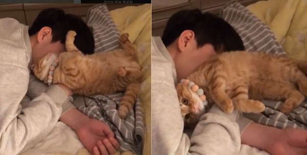 起床時間到了～貓貓倒進哥哥懷裡　喂你怎麼跟著一起睡！（圖／翻攝自Instagram：@park_kkone）