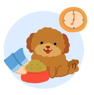 汪汪「壞嘴道」怎麼辦？簡單3秘訣讓他不挑食！（圖／毛起來 MaoUp）