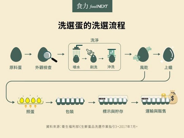 1張圖讓你秒懂洗選蛋的洗選流程。（圖／食力提供）