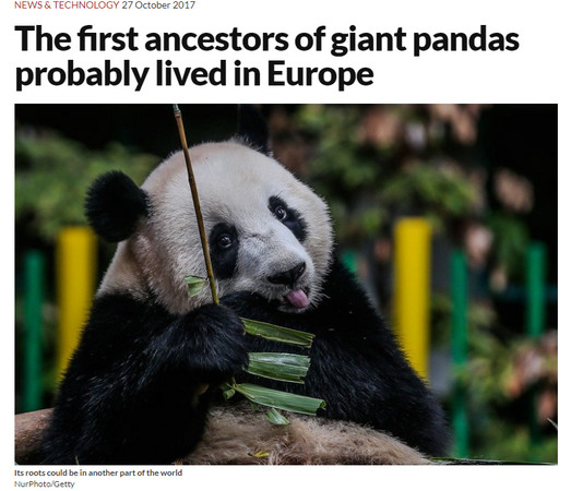 ▲▼《新科學人》報導，大熊貓起源於歐洲。（圖／翻攝自新科學人雜誌）