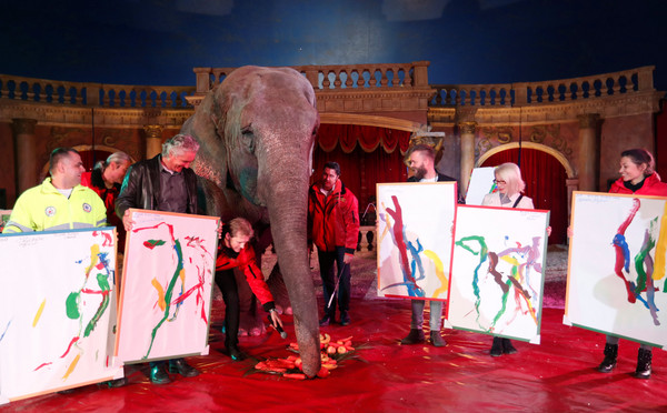 ▲▼匈牙利旅遊馬戲團42歲大象珊卓（Sandra）會畫畫。（圖／路透社）