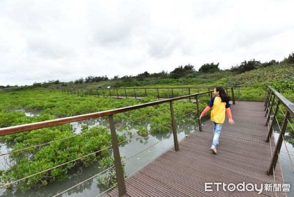 ▲許厝港國家重要濕地濱海木棧道啟用。（圖／桃園市政府提供）