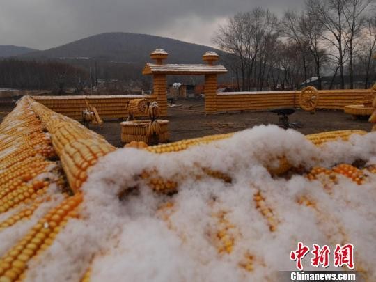 ▲▼劉洪財與14位村民一同打造了黃金玉米屋。（圖／翻攝自《中新網》）