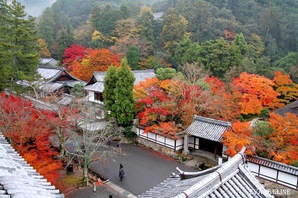 京都七大必去賞楓點。（圖／Evangeline-Evan提供）