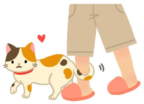 貓貓用尾巴纏繞我的腳！這是什麼意思呢？！（圖／毛起來 MaoUp）