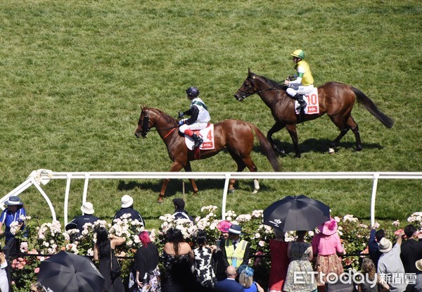 ▲墨爾本盃,Melbourne Cup,墨爾本賽馬節,賽馬,澳洲,弗萊明頓賽馬場,Flemington Racecourse。（圖／記者陳涵茵攝）