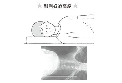 ▲<最新枕頭健康法>書摘圖。（圖／晨星出版提供）