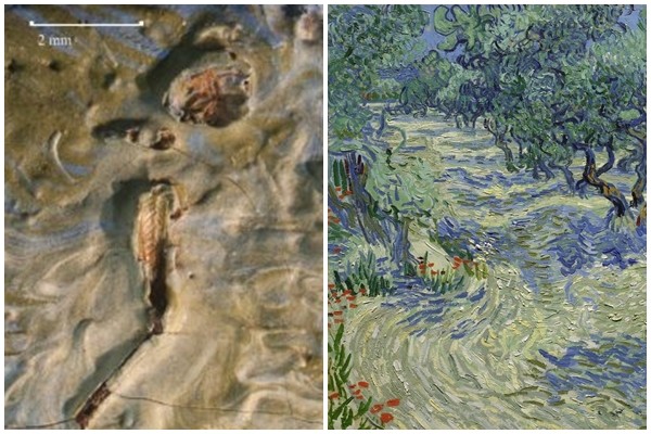 ▲▼梵谷（Vincent van Gogh）畫作《橄欖樹》             。（圖／翻攝自Nelson-Atkins Museum of Art官網）