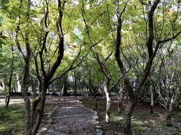 ▲花卉試驗中心。（圖／台北市政府提供）