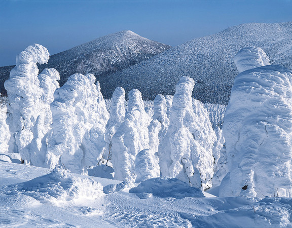▲日本東北最美的祕境 冬日必遊景點。（圖／七逗旅遊網提供）