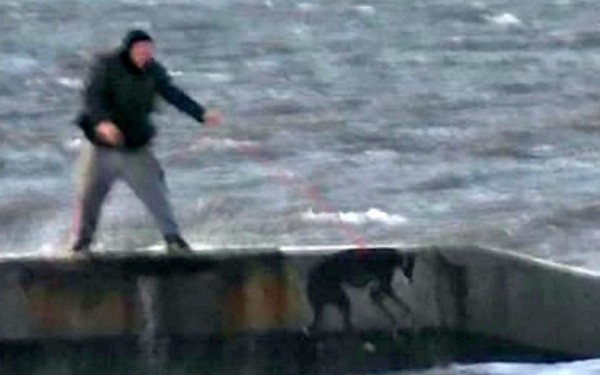 ▲恐怖男把狗狗「丟下海！」　頭一浮出來「又被海浪打沉」。（圖／RSPCA）