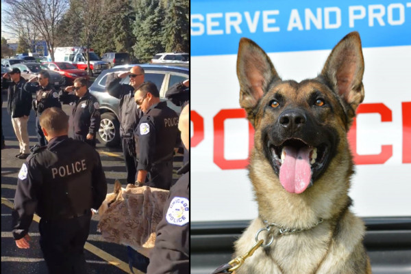 警犬維多過世，警察列隊歡送。（圖／翻攝自Chicago Police Department）
