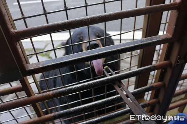 ▲▼九州自然動物園。（圖／記者蔡玟君攝）