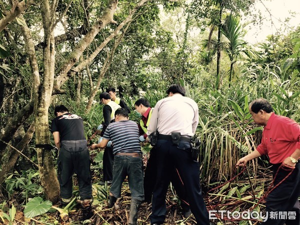 ▲眼尖員警發現婦人跌落山溝，通報消防合力將人救起。（圖／記者林煒傑翻攝）