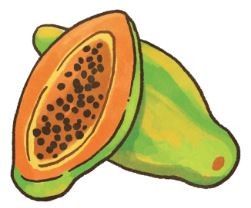 【毛孩食材圖鑑】10種貓貓可以吃的人類食物（圖／毛起來 MaoUp）