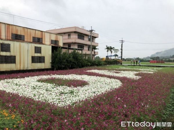 ▲桃園花彩節大溪場11月18日至26日壓軸登場，花海環繞國家二級古蹟。（圖／農業局提供）