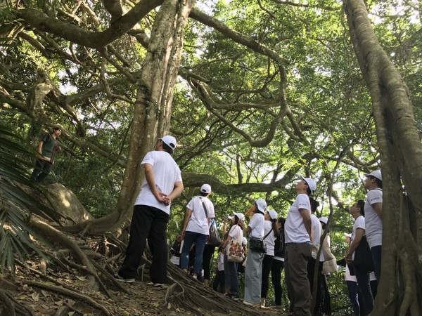 ▲▼愛美同時愛地球！綠色美妝品牌赴台東植樹　響應全球生態橋。（圖／業者提供）