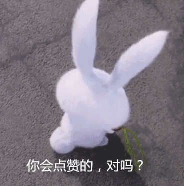 兔兔,兔子,點讚,可愛,動物,萌獸（圖／xiaonanyang）