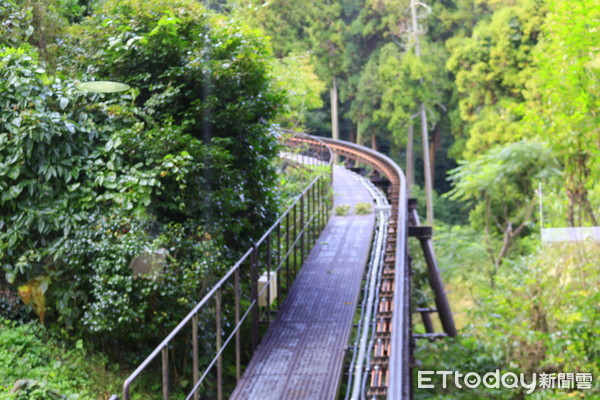 ▲▼高崎山自然動物園。（圖／記者蔡玟君攝）