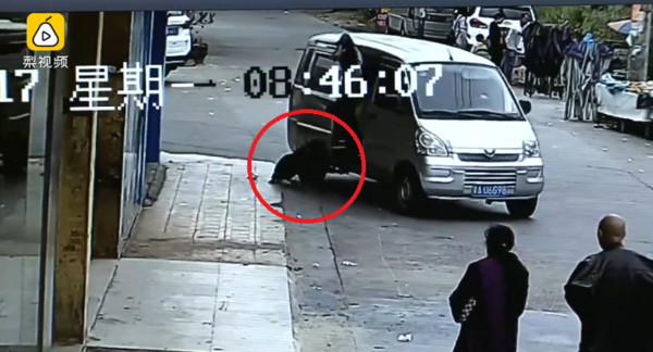 廣州市盜狗集團超殘忍 平均2秒就能活捉一隻小狗。（圖／翻攝自梨視頻）