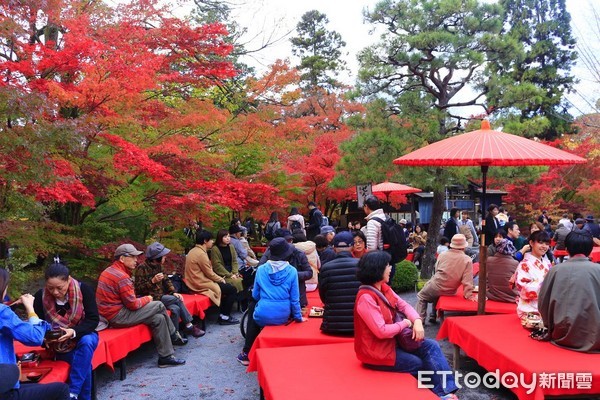 ▲▼京都永觀堂紅葉。（圖／記者蔡玟君攝）