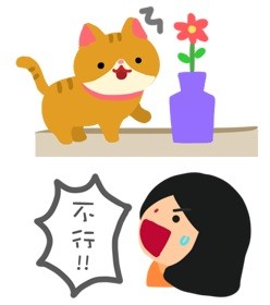 貓咪超皮怎麼辦？！3個有效的管教技巧幫幫你！（圖／毛起來 MaoUp）