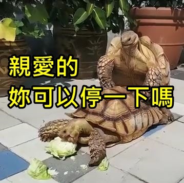 大檸檬用圖（圖／翻攝自抽屜）