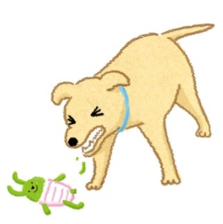 別把毒玩具吃下肚！如何慎選安全玩具？（圖／毛起來 MaoUp）