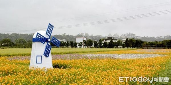 ▲除了大溪花彩節，市長鄭文燦表示：日後還有大溪茶花節、風箏節和三民燈火節。（圖／桃園市政府提供）