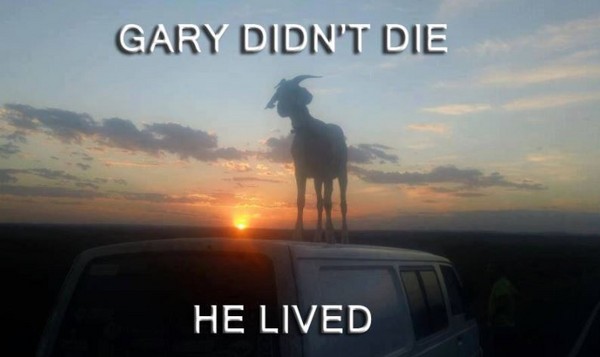 ▲澳洲網紅山羊去世 。（圖／翻攝自facebook／Gary The Goat）            。
