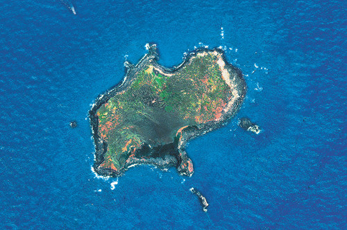 ▲▼2018中央大學衛星影像月曆發表。（圖／翻攝自國立中央大學）