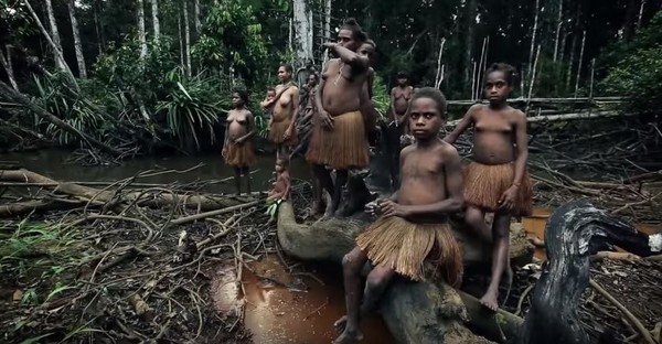 ▲印尼達尼部落（Dani）。（圖／取自Youtube／Sergii Pi）