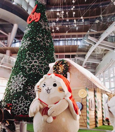 ▲新竹巨城聖誕裝飾。（翻攝自Big City遠東巨城購物中心粉絲專頁）