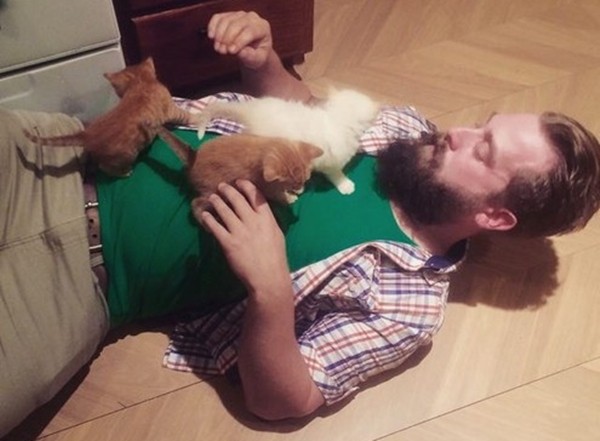 母貓答謝鬍子哥長期餵養　送三小貓讓他當「孩子的爸」（圖／翻攝自reddit @Alexisgabriele