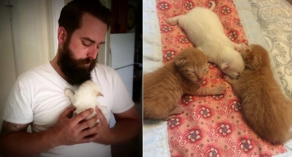 母貓答謝鬍子哥長期餵養　送三小貓讓他當「孩子的爸」（圖／翻攝自reddit @Alexisgabriele