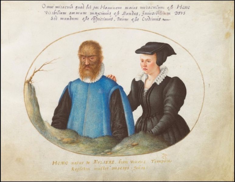 ▲▼16世紀的多毛症男子被當成「野獸」。（圖／翻攝自維基百科）