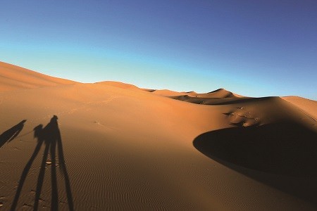 ▲摩洛哥古城巡禮 騎駱駝到撒哈拉沙漠旅行。（圖／七逗旅遊網、晴天旅行社提供）