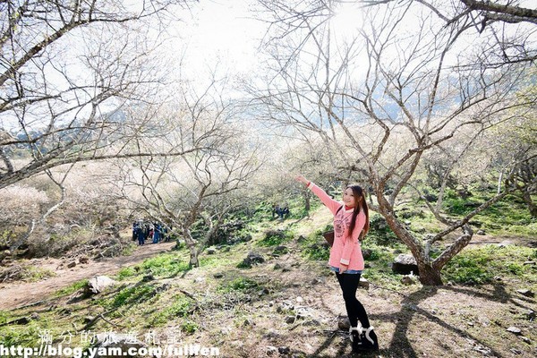 ▲南投景點懶人包。（圖／滿分的旅遊札記提供）