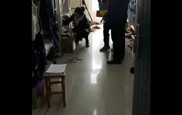 女學生沒穿衣服　男老師直接「鑰匙開門」闖進宿舍。（圖／翻攝自大陸網站）