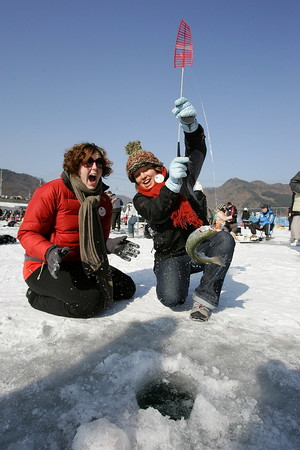 ▲冬遊韓國滑雪、採果、汗蒸幕。（圖／東南旅遊、七逗旅遊網）