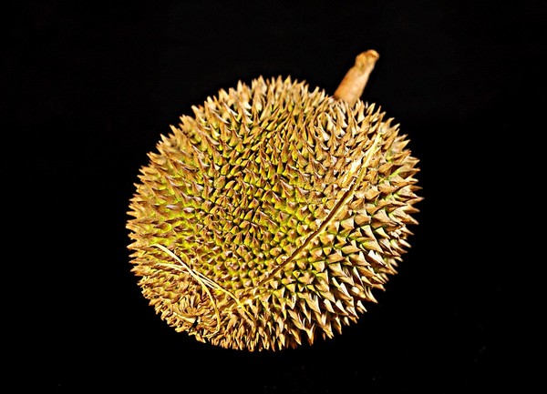 ▲榴槤,熱帶水果。（圖／翻攝Pixabay）