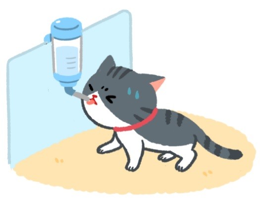 貓奴看過來別再讓貓咪使用滾珠飲水器啦！（圖／毛起來 MaoUp）