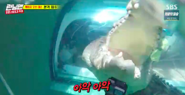 ▲▼ 劉在錫被吊進水「900kg巨型鱷魚衝向他」　李光洙嚇壞（圖／翻攝自SBS）