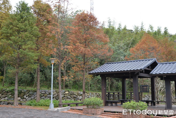 ▲麗山農民廣場 。（圖／台北市政府提供）